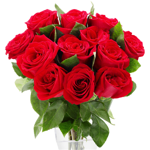 Red Rose Bouquet Dozen - Bouquet Of Roses, Transparent background PNG HD thumbnail