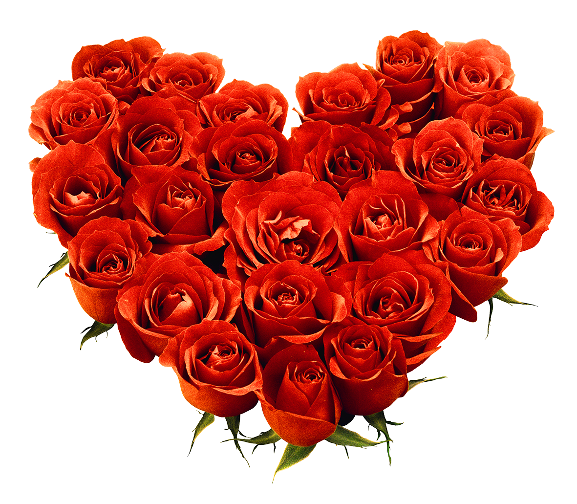 Rose Png Flower Images   Hd Wallpapers - Bouquet Of Roses, Transparent background PNG HD thumbnail