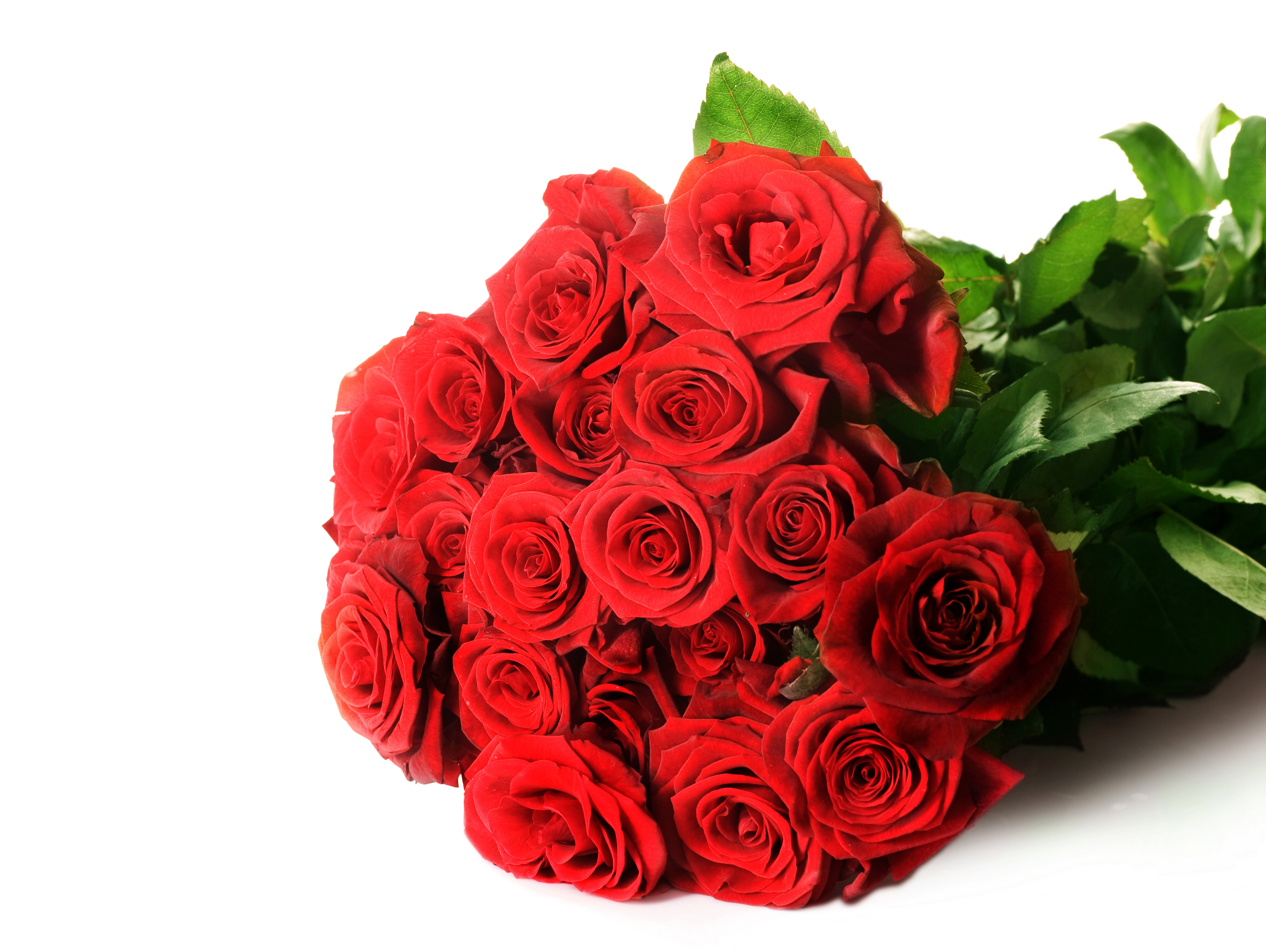 Your Resolution: - Bouquet Of Roses, Transparent background PNG HD thumbnail
