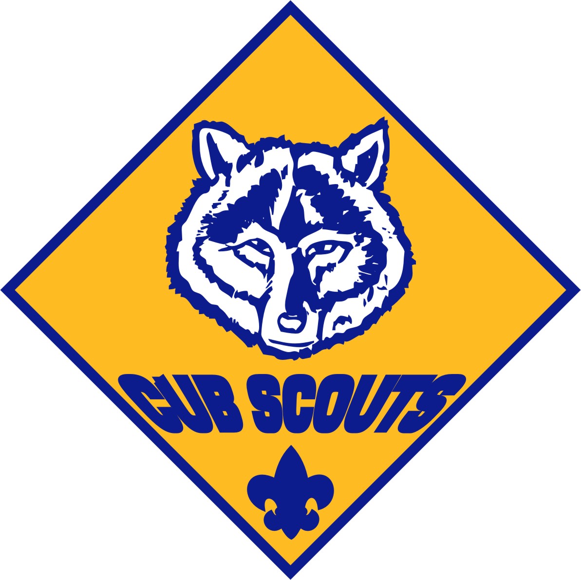 Cub Scouting - Boy Scouts, Transparent background PNG HD thumbnail