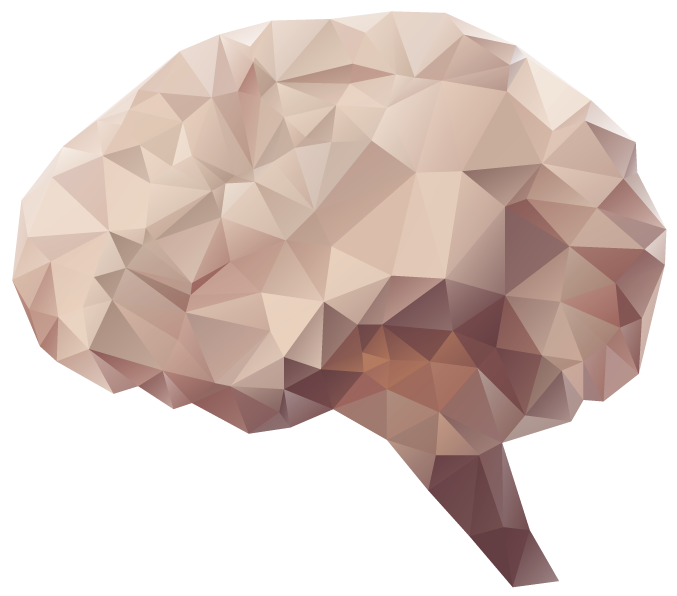 Silver Certified Leed Green School - Brain, Transparent background PNG HD thumbnail