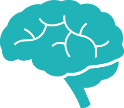 Brain Icon.png (250×217) - Brain, Transparent background PNG HD thumbnail