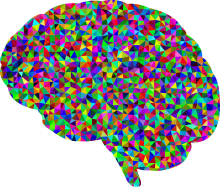 Colorful Brain.png - Brain, Transparent background PNG HD thumbnail