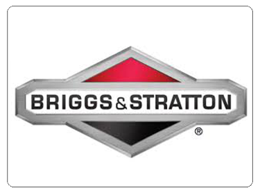 Briggs and Stratton Racing