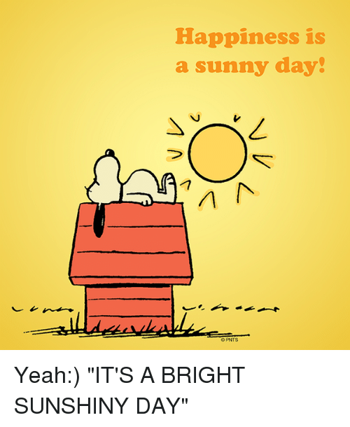 Memes, ????, And Day: Happiness Is A Sunny Day! A Opnts Yeah - Bright Sunny Day, Transparent background PNG HD thumbnail