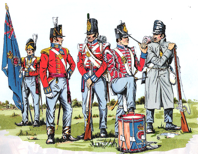 British Army · 7Th Foot.png (689×536) - British Army, Transparent background PNG HD thumbnail