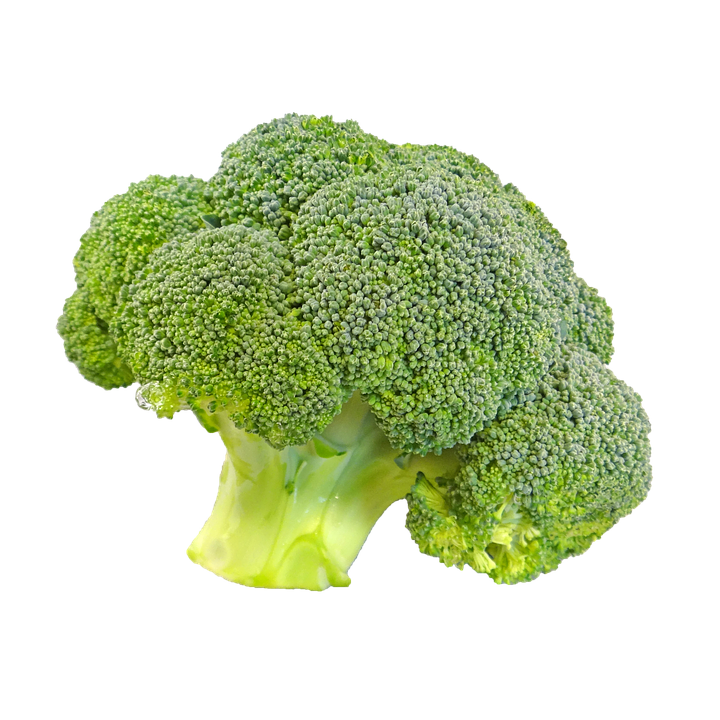 Broccoli, Bunch, Floret, Fresh, Food, Vegetable - Broccoli, Transparent background PNG HD thumbnail