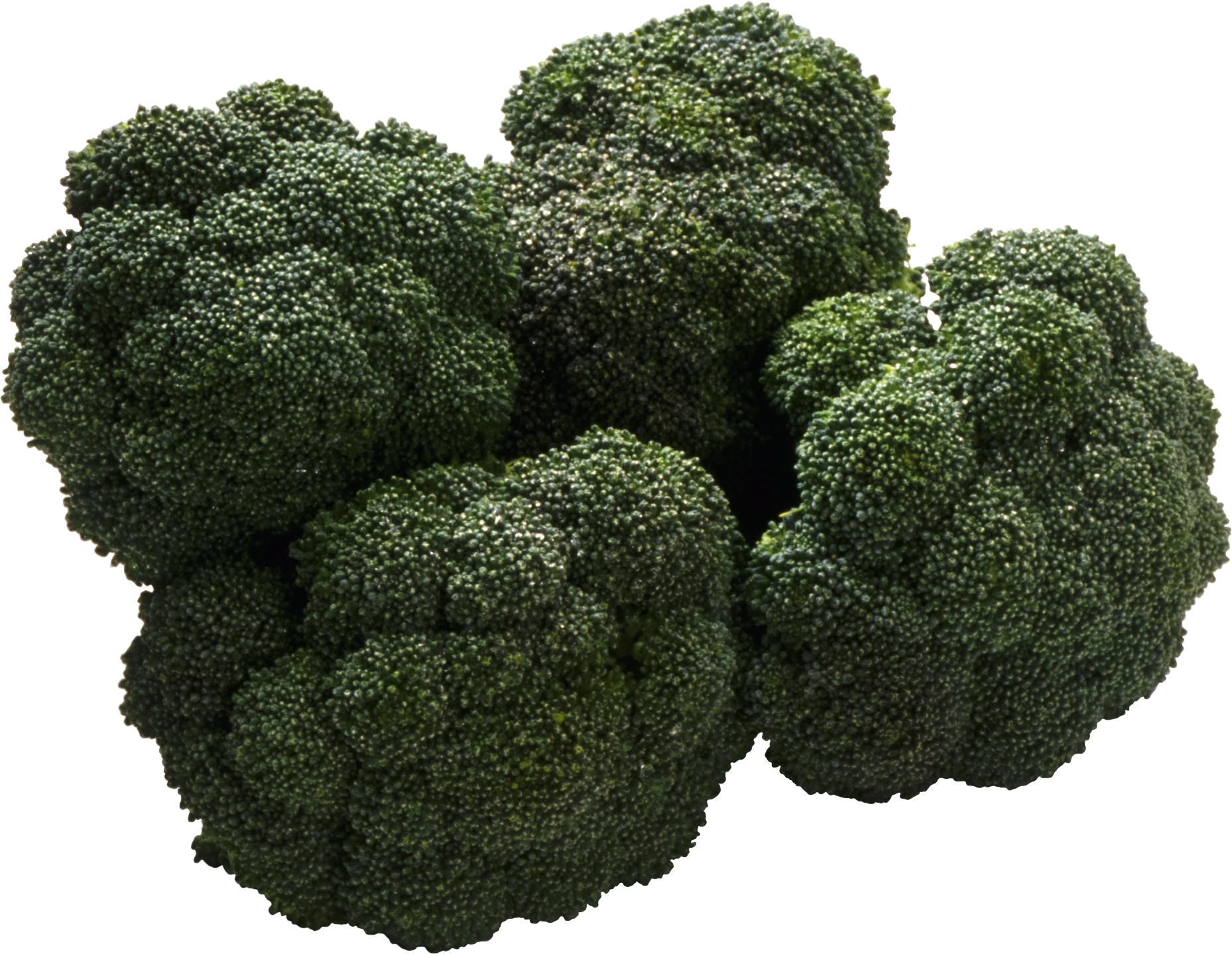 Broccoli Png Image - Broccoli, Transparent background PNG HD thumbnail