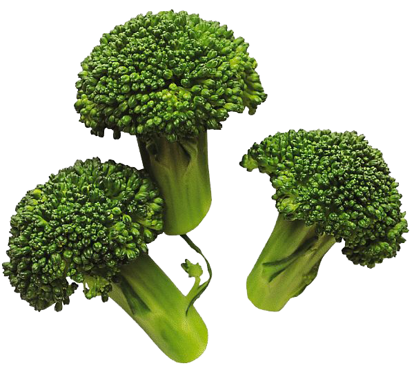 Broccoli Png Image - Broccoli, Transparent background PNG HD thumbnail