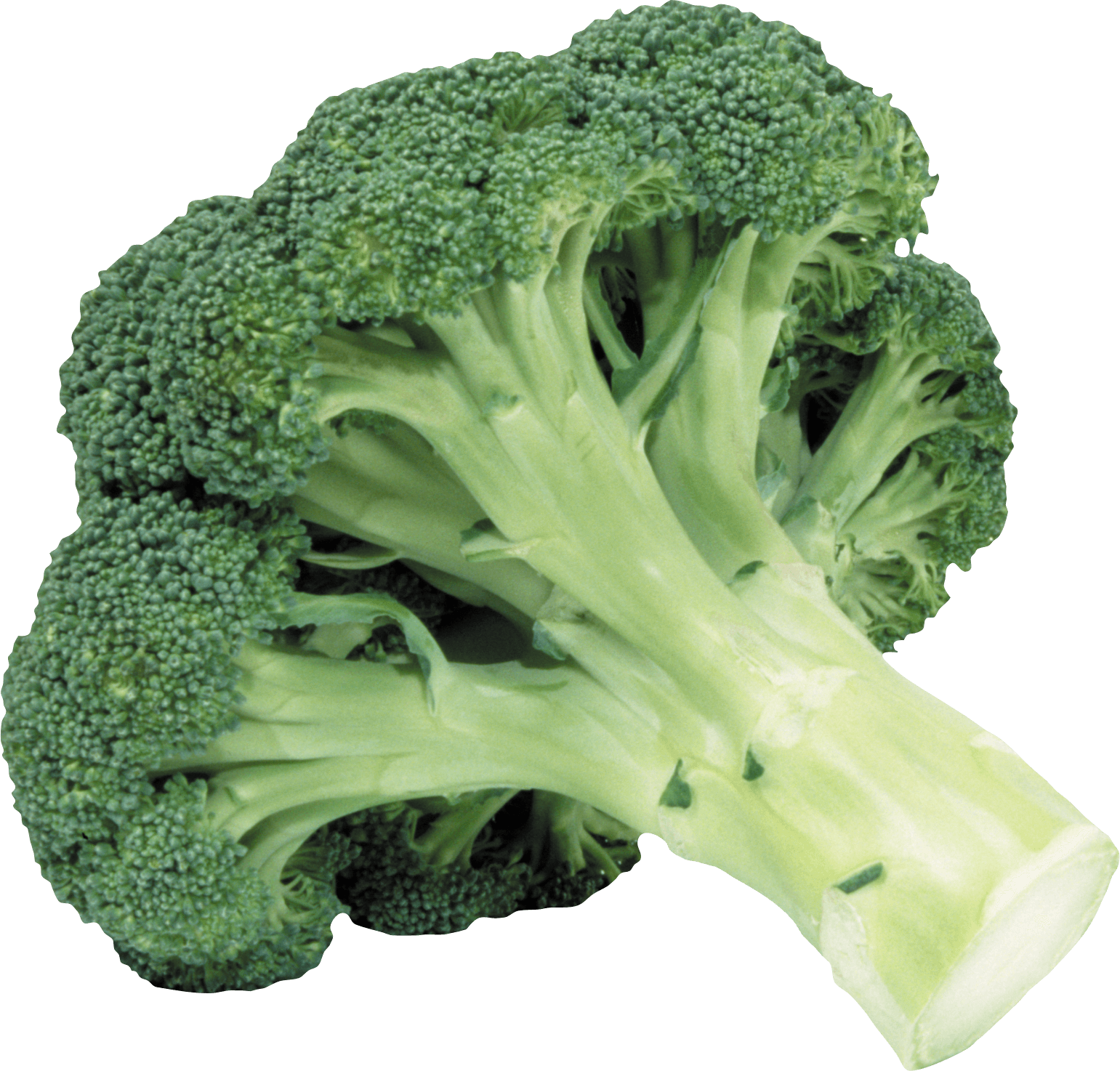 Broccoli Png Image Png Image - Broccoli, Transparent background PNG HD thumbnail