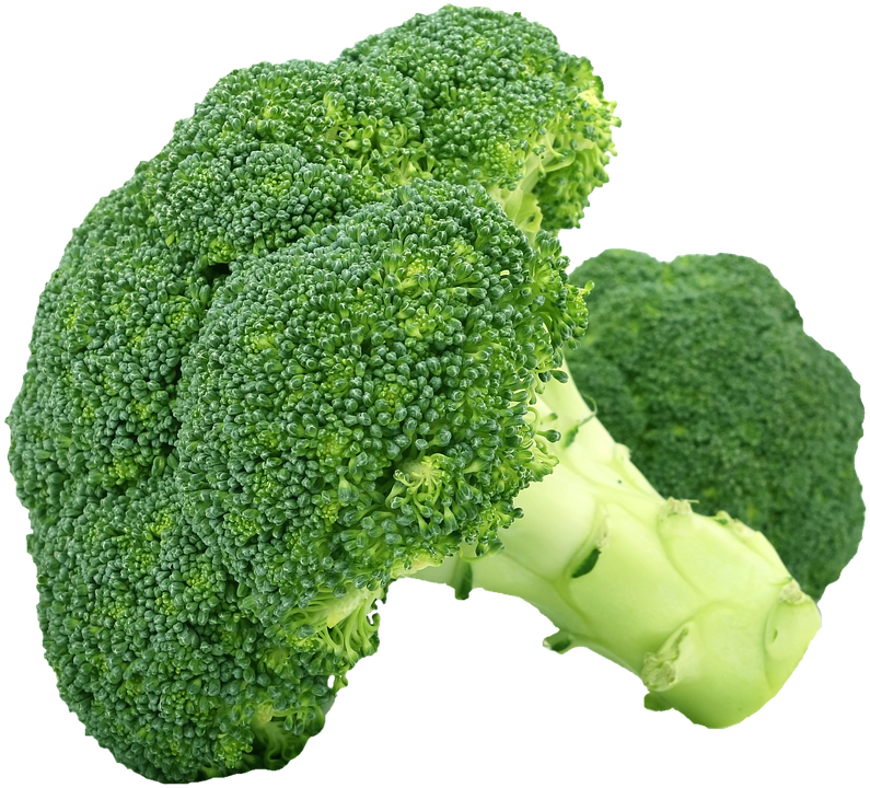 Isolated, Broccoli, Vegetables, Healthy, Food, Green - Broccoli, Transparent background PNG HD thumbnail