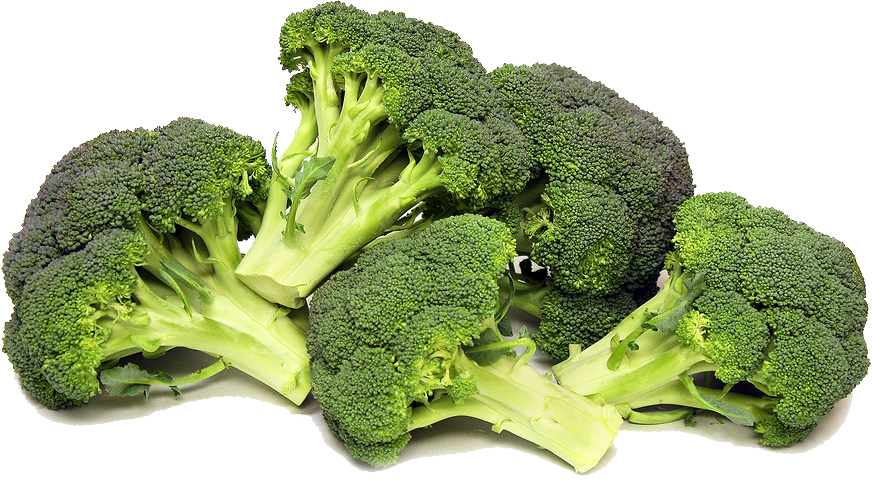 Appetite, Broccoli, Brocoli B