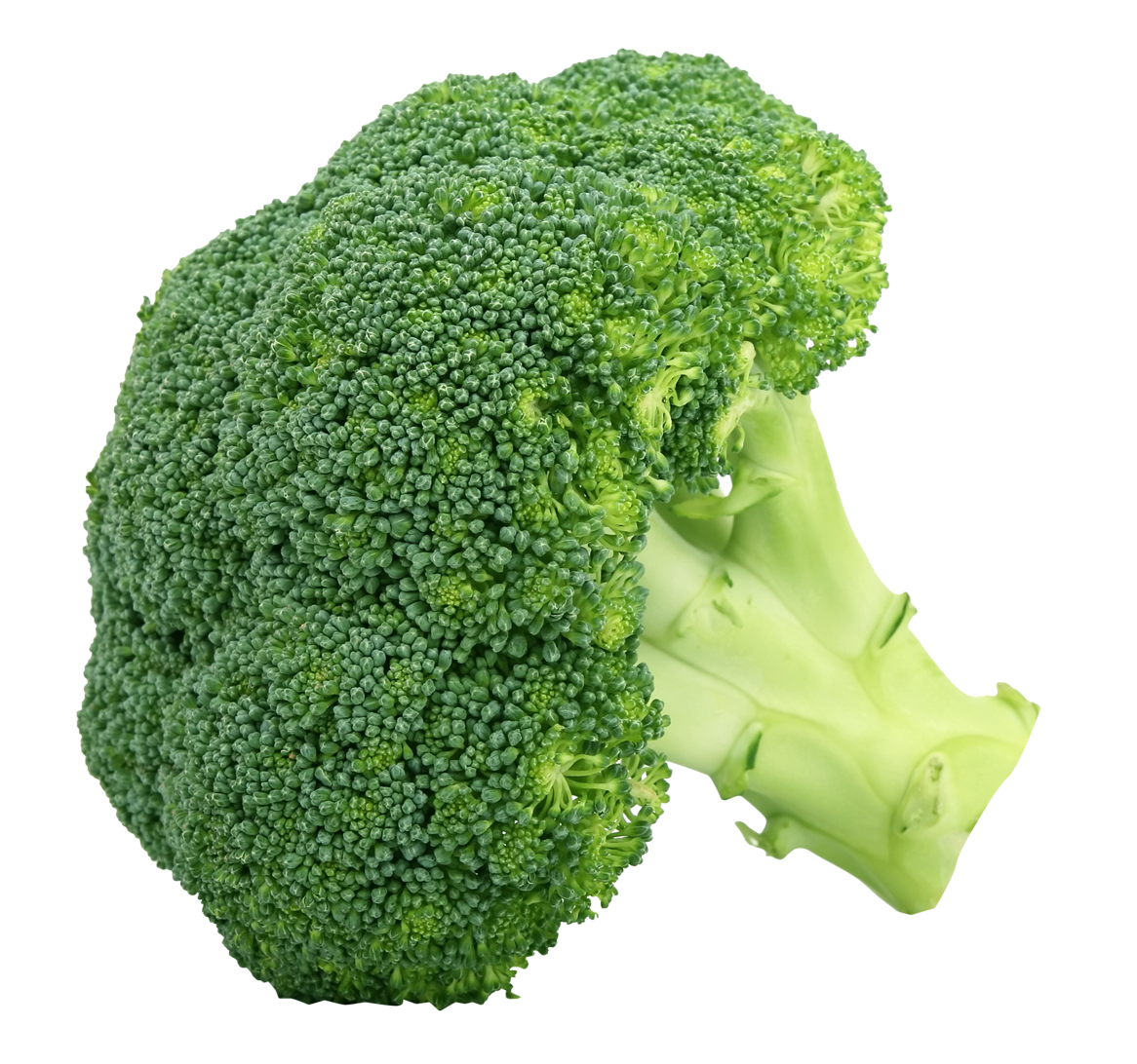 Broccoli Png Clipart - Broccoli, Transparent background PNG HD thumbnail