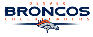 Broncos Home Page - Denver Broncos, Transparent background PNG HD thumbnail