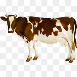 Cow, Color, Animal, Lovely Png Image And Clipart - Brown Cow, Transparent background PNG HD thumbnail