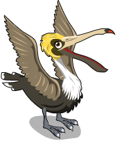 Brown Pelican - Brown Pelican, Transparent background PNG HD thumbnail