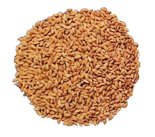 Img 6930.png1.png - Brown Rice, Transparent background PNG HD thumbnail
