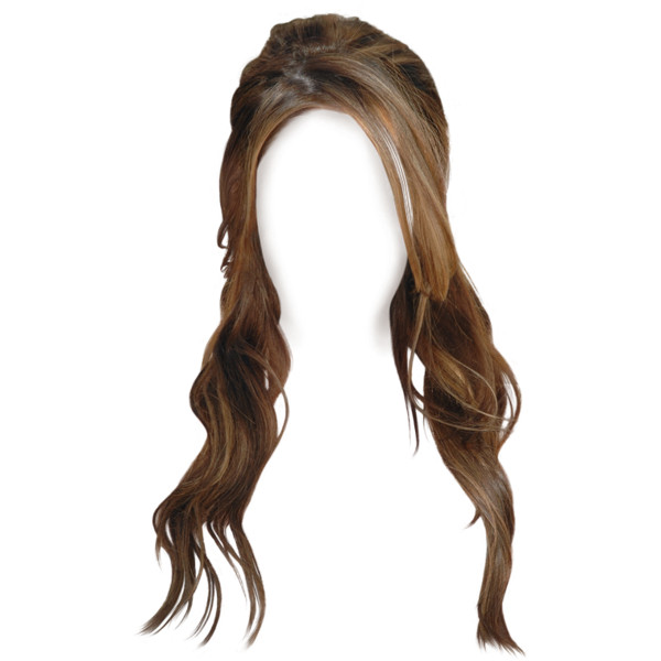 Brown hair clip, Wig, Female 