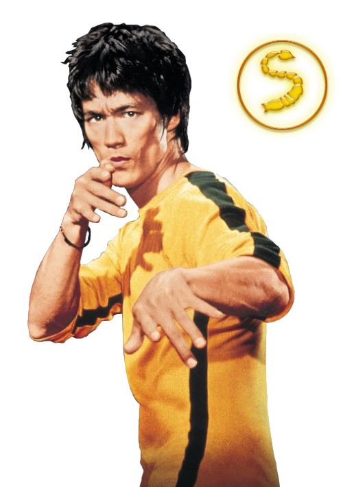 Upcoming Erb Discussion/speculation [Archive]   Page 84   Epic Rap Battles Of History Forum - Bruce Lee, Transparent background PNG HD thumbnail