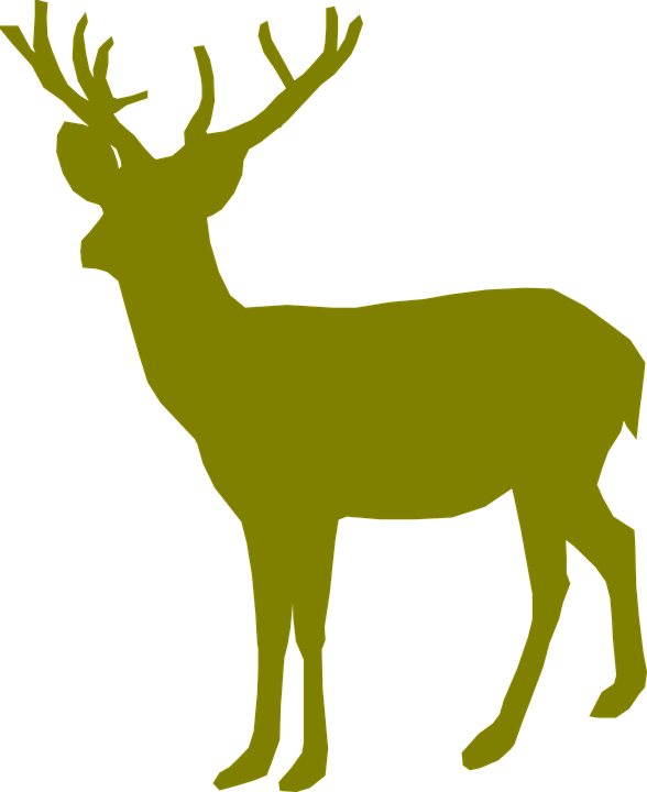 Deer Buck Male Young Standing Silhouette - Buck Deer, Transparent background PNG HD thumbnail