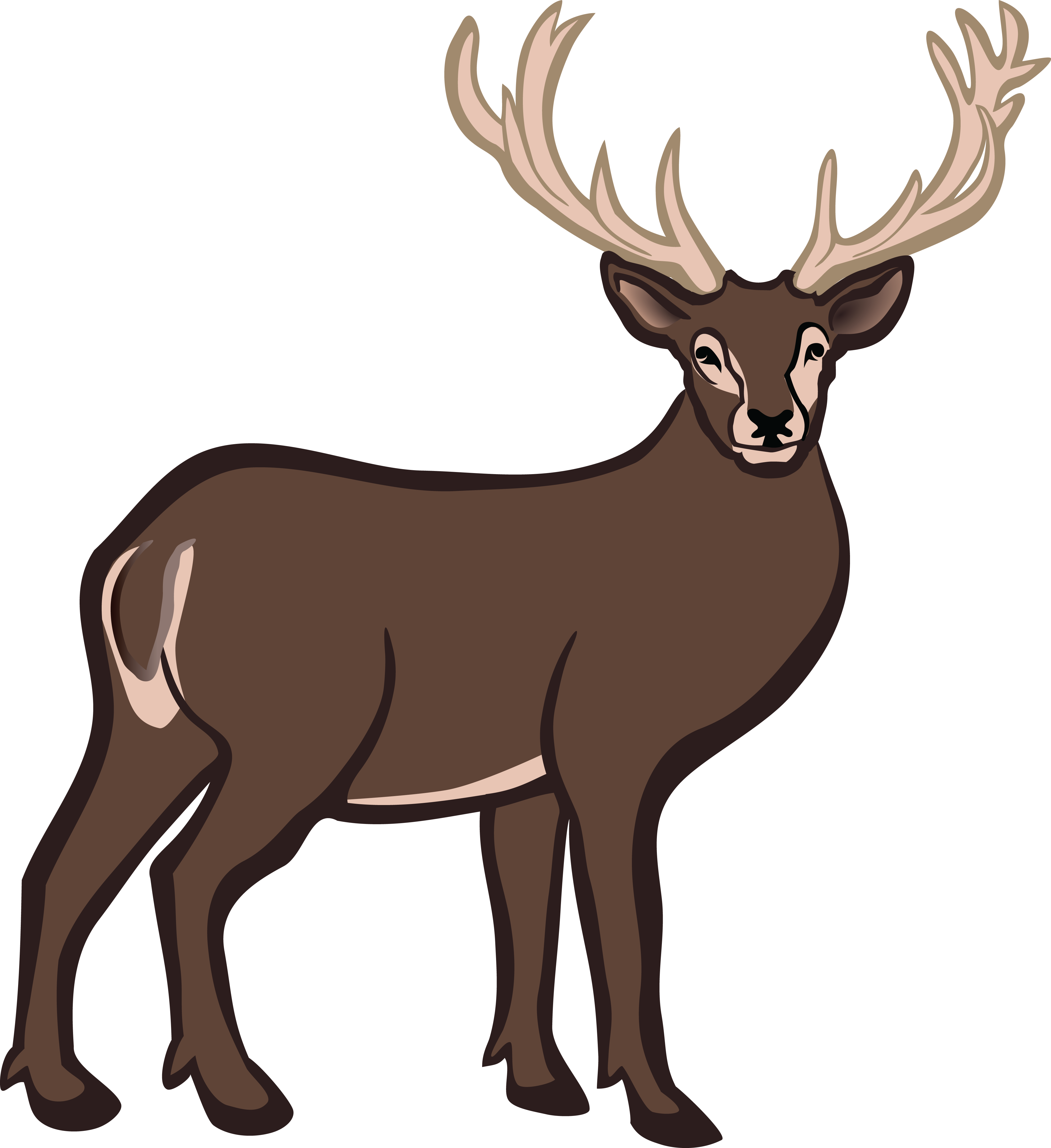 Free Clipart Of A Buck Deer #00011534 . - Buck Deer, Transparent background PNG HD thumbnail
