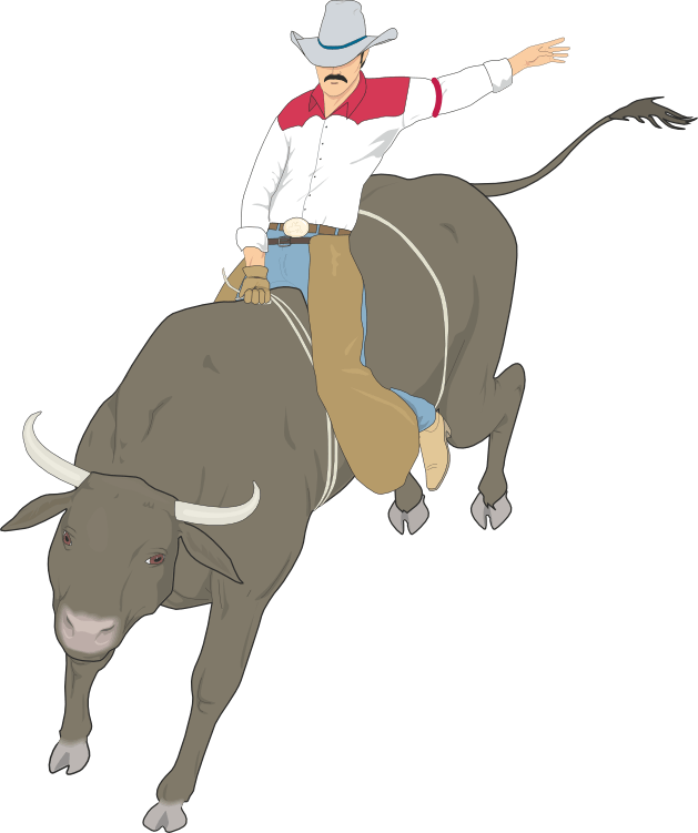 Rodeo Bull Rider Silhouette