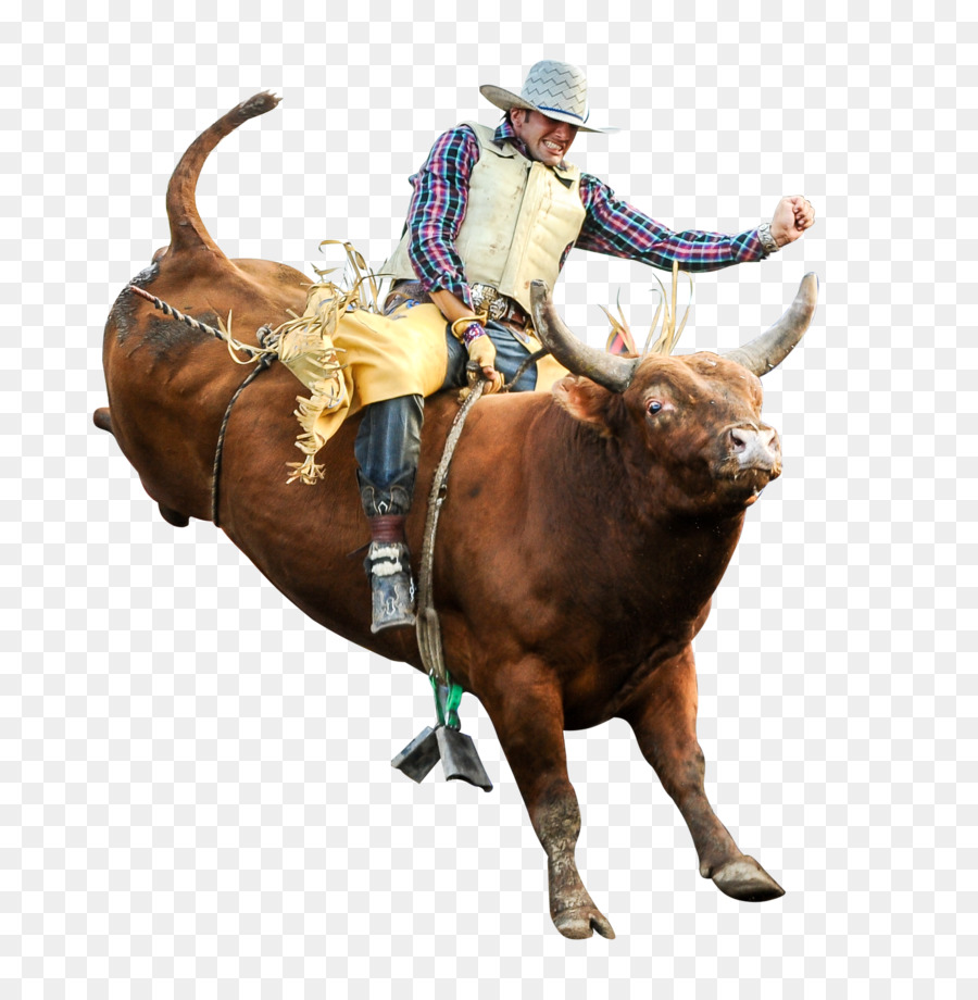 Rodeo, look at that Bull Twis
