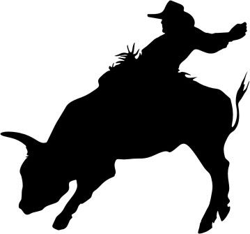 Bull riding Professional Bull