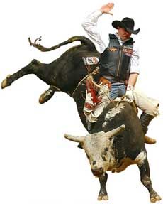 Rodeo, Look At That Bull Twist! Any Cowboy Would Like To Ride Him In - Bucking Bull, Transparent background PNG HD thumbnail