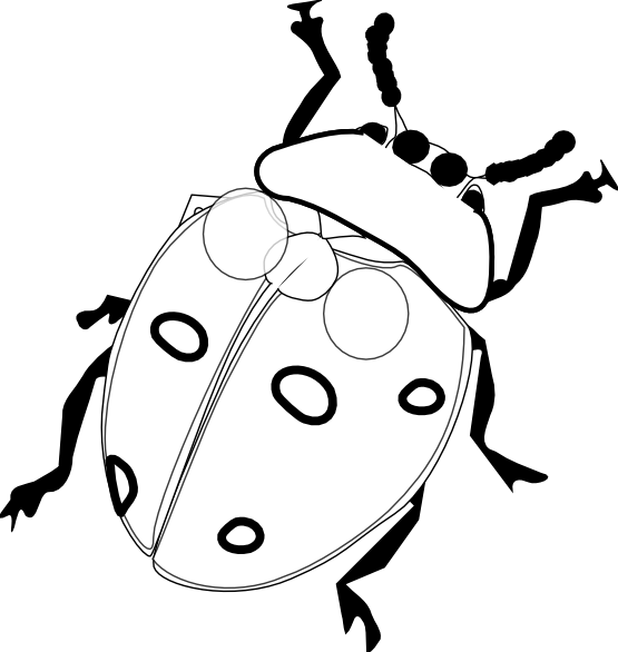 Ladybug 7 Black White Line Art Flower Drawing Scalable Vector . - Bugs Black And White, Transparent background PNG HD thumbnail