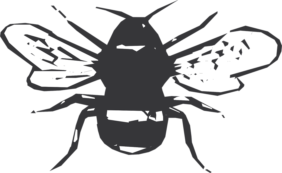 Siyah Beyaz Arı Çizgili Kanatlar Böcek - Bugs Black And White, Transparent background PNG HD thumbnail
