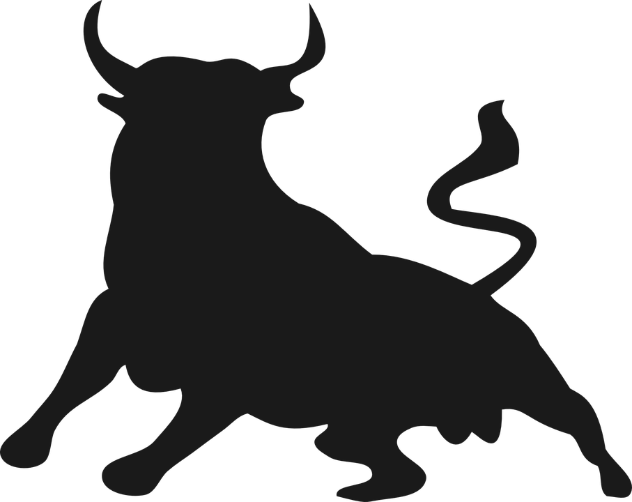 Bull Buffalo Animal Mammal Horns Wild Power - Bull By The Horns, Transparent background PNG HD thumbnail