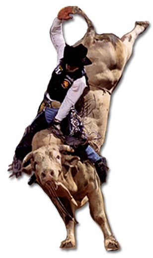 Both Are Pbr Legends! - Bull Riding, Transparent background PNG HD thumbnail