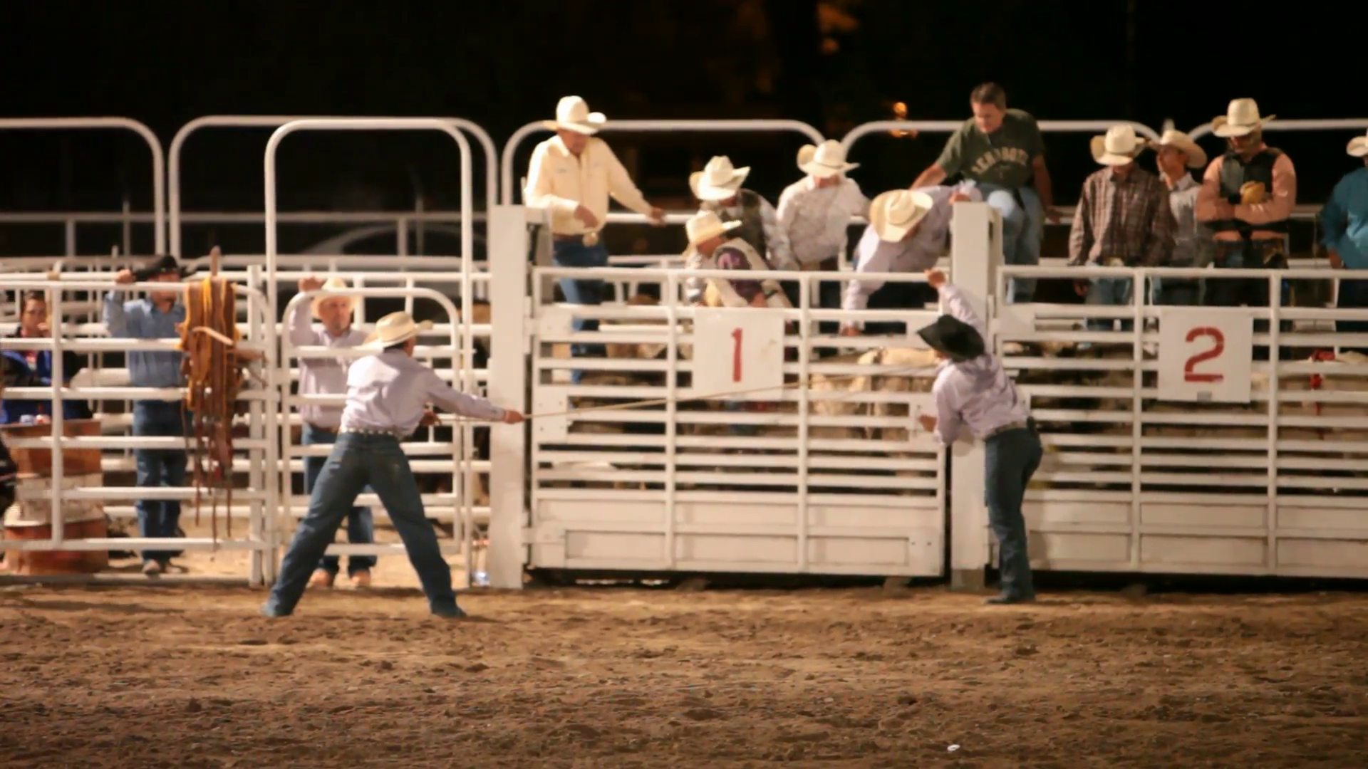 Bull Rider Getting Ready Rodeo At Night P Hd 1013 Stock Video Footage   Videoblocks - Bull Riding, Transparent background PNG HD thumbnail