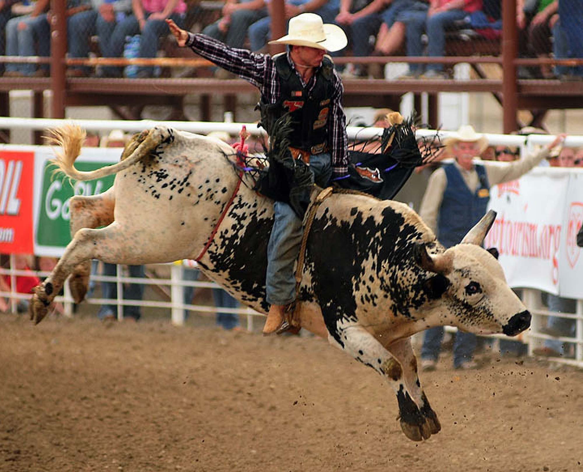 Rodeo, look at that Bull Twis
