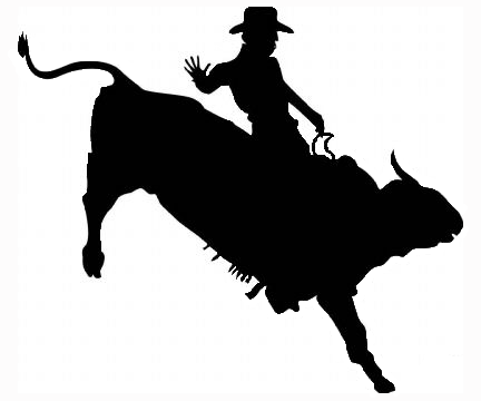 Bull riding Professional Bull