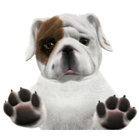 vector cute pug puppy bulldog