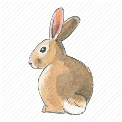 Custom Bunny.png Skin Idea For Agar.io - Bunny, Transparent background PNG HD thumbnail