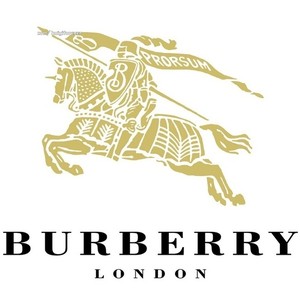 Burberry logo vector .