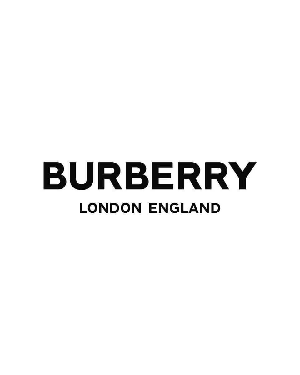 Burberry Logo Icon Of Flat St