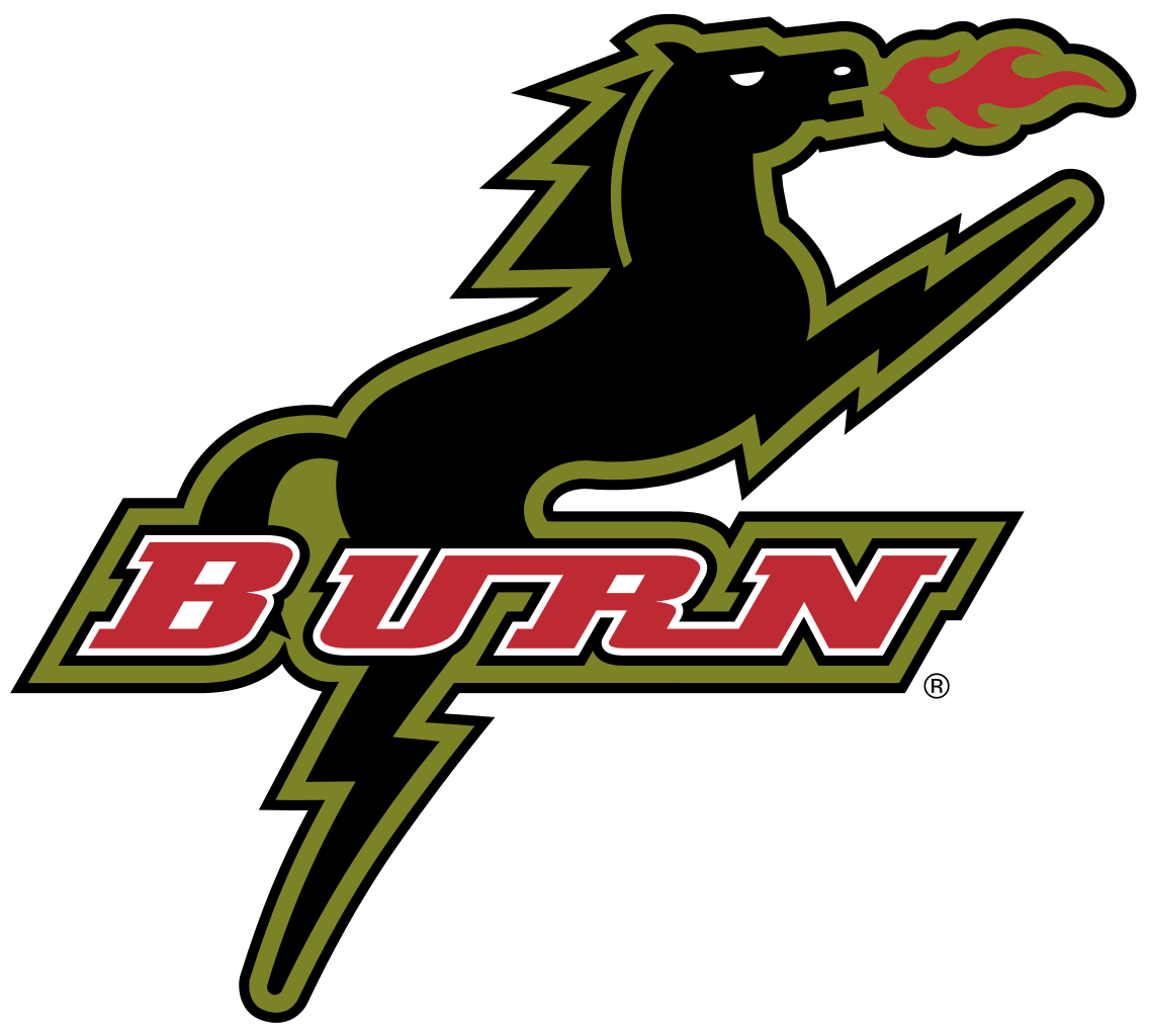 Burn Logo - Logo Burn PNG