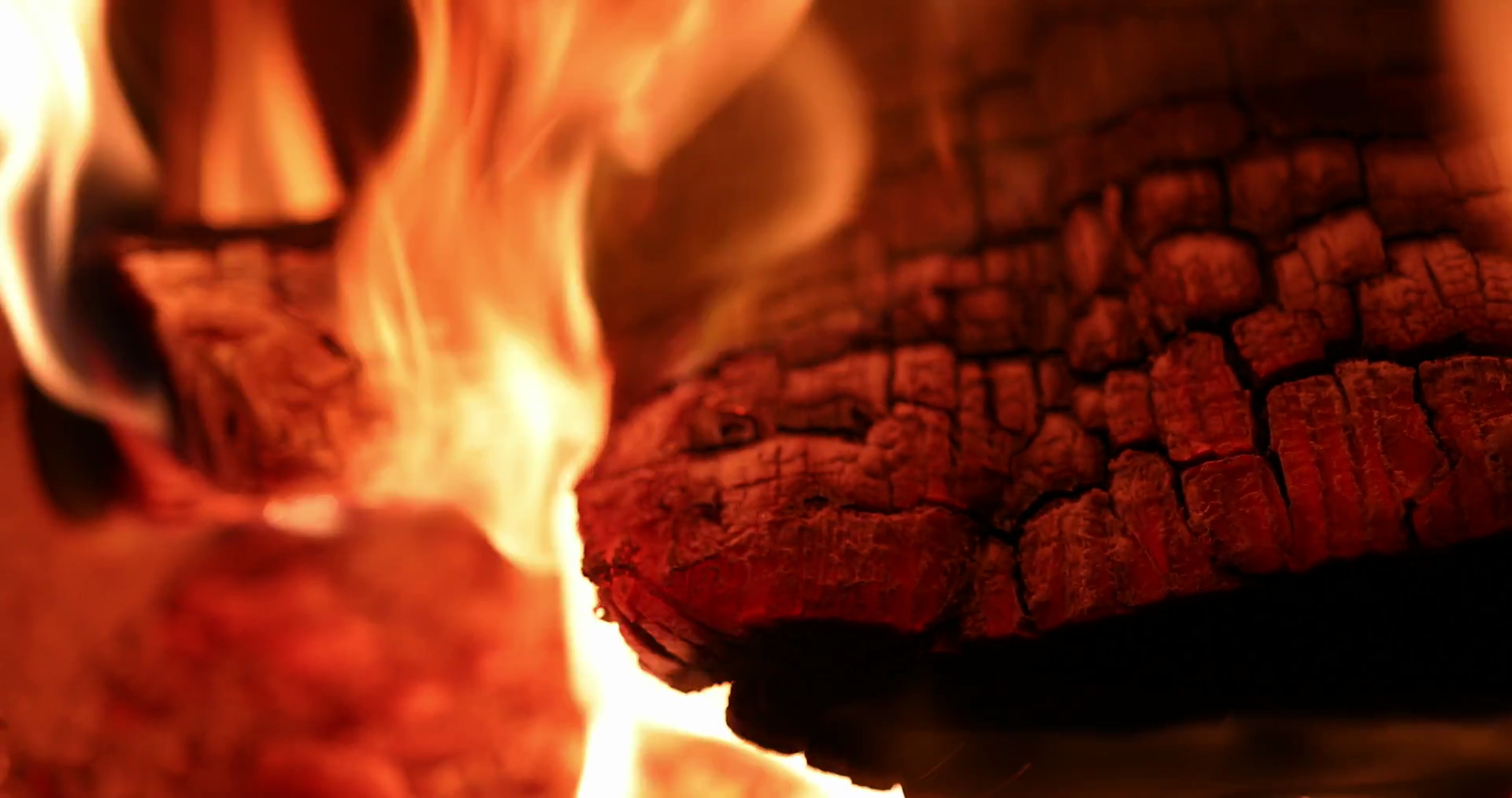 campfire fire wood burn heat 