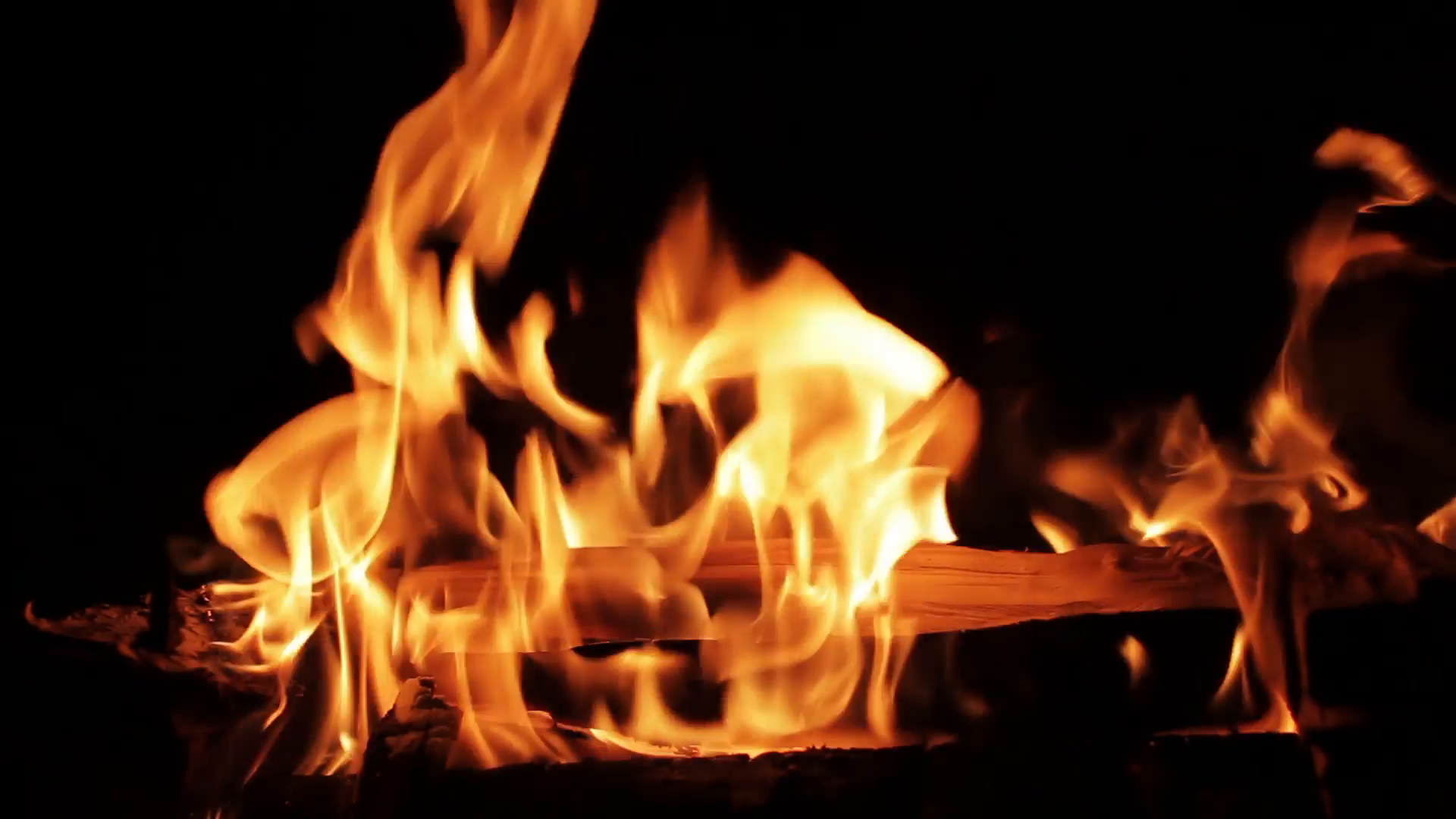 4K Fireplace Burning Wood Fir