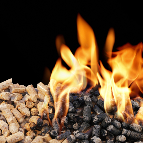 Wood Burning Major Source Of Fine Dust, Says Study - Burning Wood, Transparent background PNG HD thumbnail