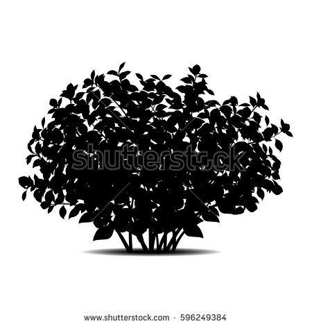 Silhouette Bush Leaves Shadow On White Stock Vector Hd (Royalty Free) 596249384   Shutterstock - Bush Black And White, Transparent background PNG HD thumbnail