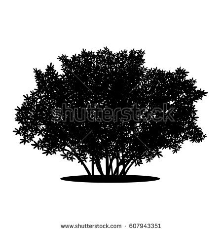 Silhouette Bush With Leaves And Shadow On White Background - Bush Black And White, Transparent background PNG HD thumbnail