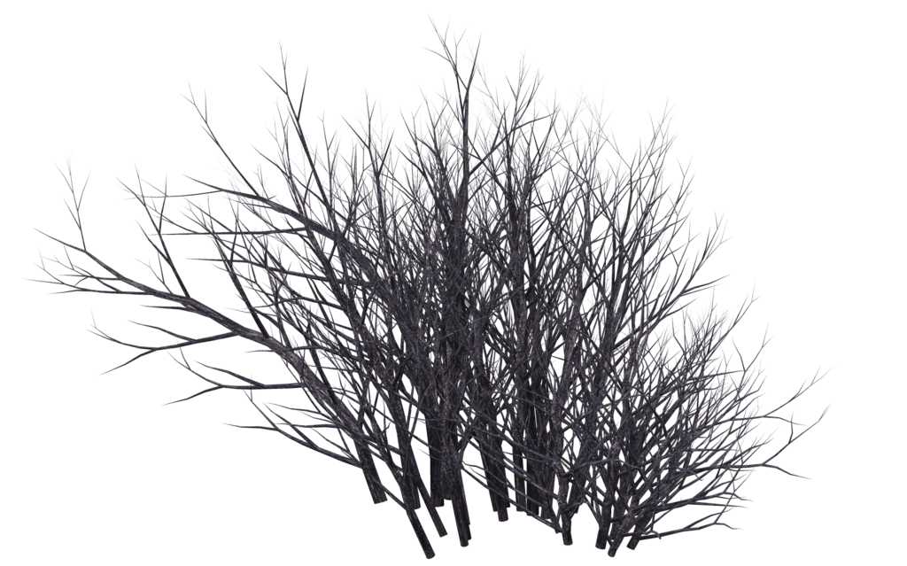 Winter Bush 09 By Wolverine041269 Hdpng.com  - Bush Black And White, Transparent background PNG HD thumbnail