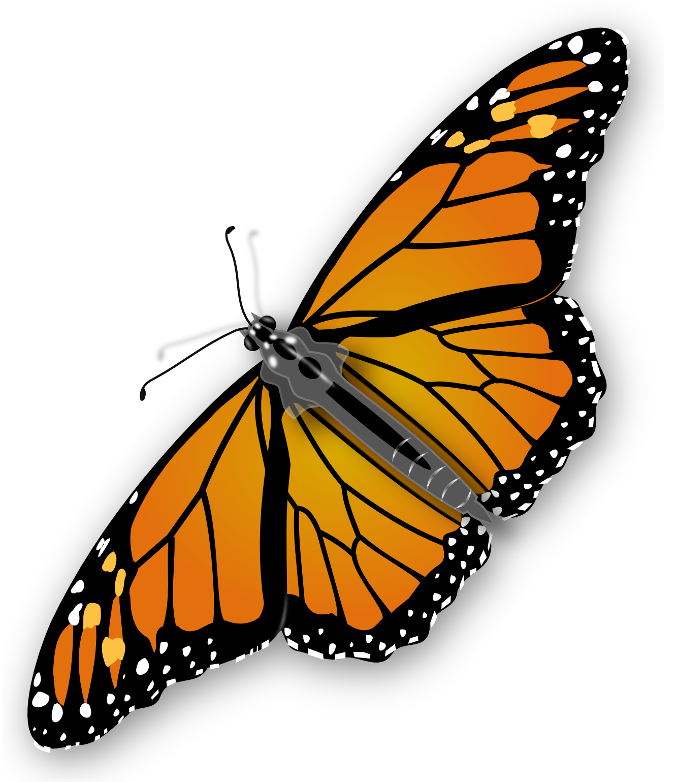 Download For Free Butterfly High Quality Png - Butterflies Download, Transparent background PNG HD thumbnail