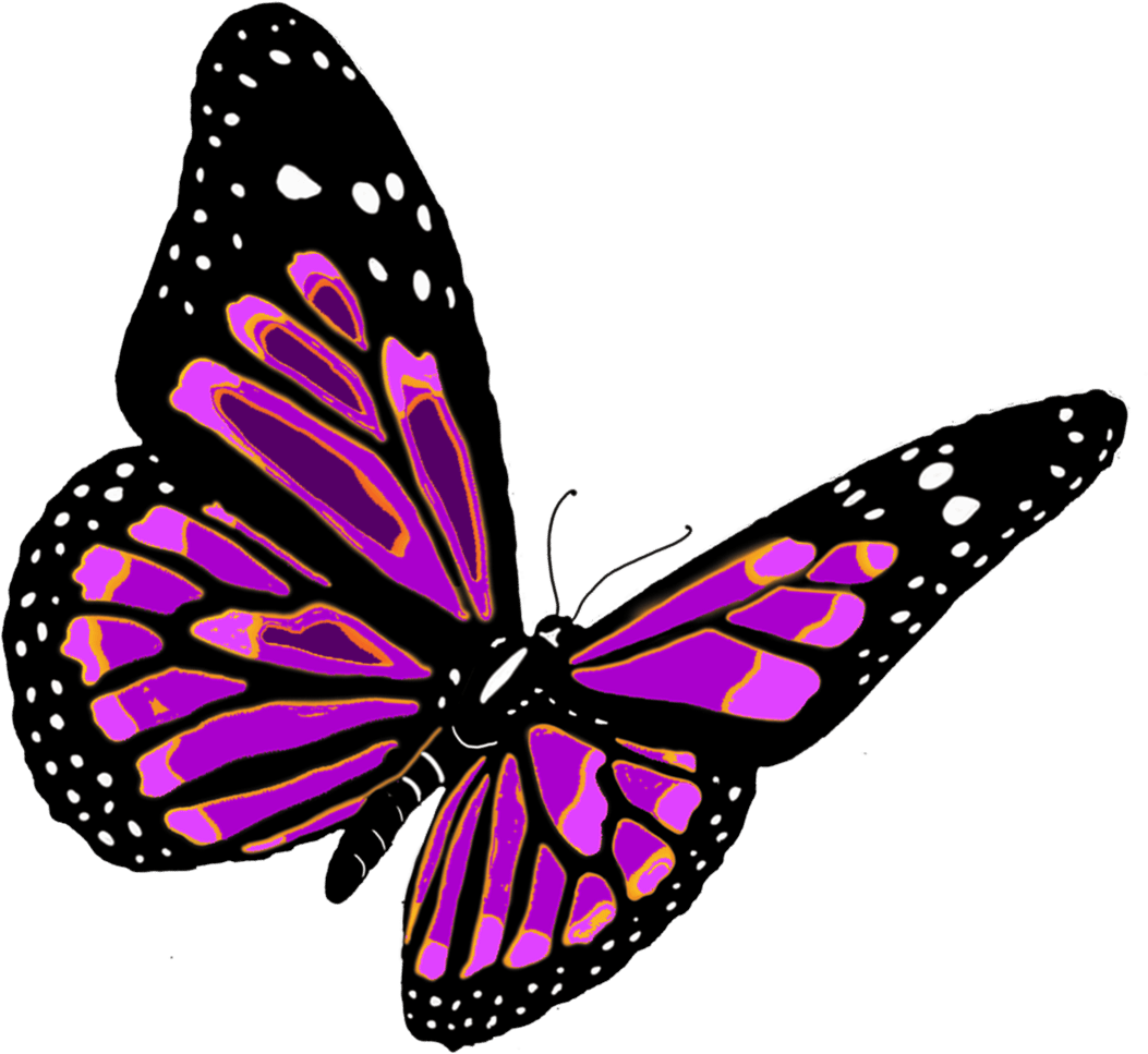 Flying Butterfly Png Image Png Image - Butterflies Download, Transparent background PNG HD thumbnail