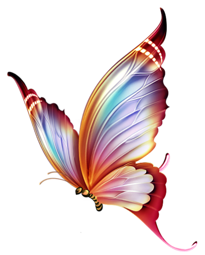 Butterfly . - Butterfly Design, Transparent background PNG HD thumbnail